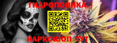 соль ск Камышлов
