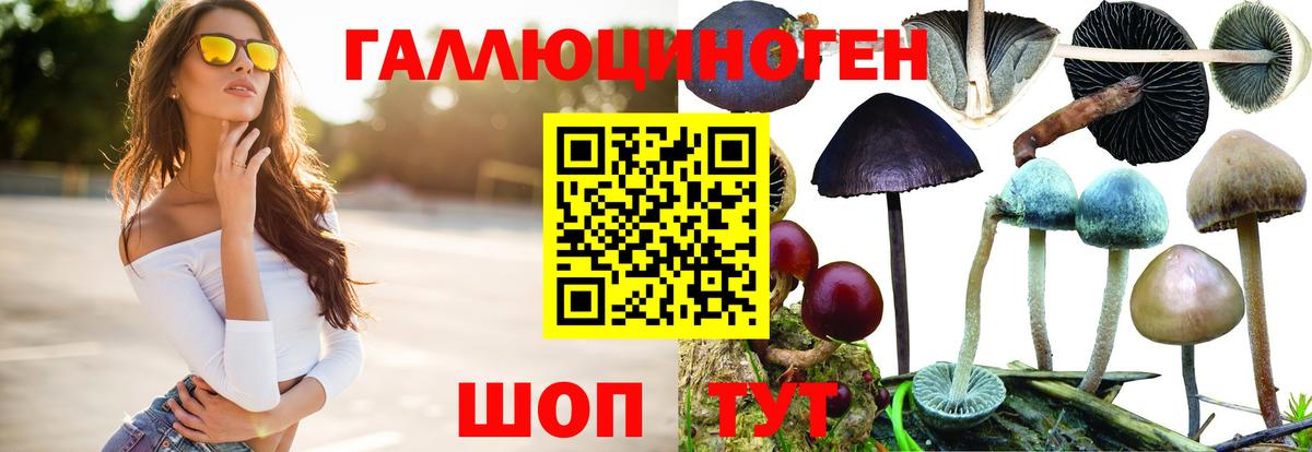 Псилоцибиновые грибы Psilocybine cubensis Шахты
